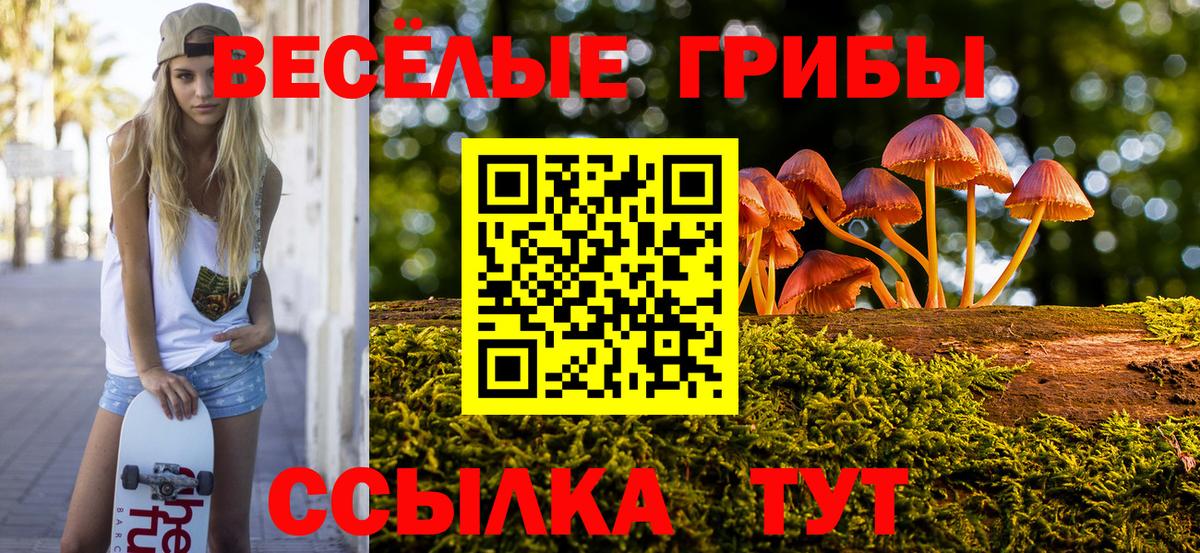 Кандалакша  Галлюциногенные грибы мицелий  Вход с VPN 